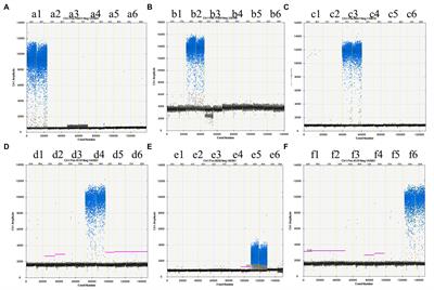 An effective droplet digital PCR method for identifying and quantifying meat adulteration in raw and processed food of beef (Bos taurus) and lamb (Ovis aries)